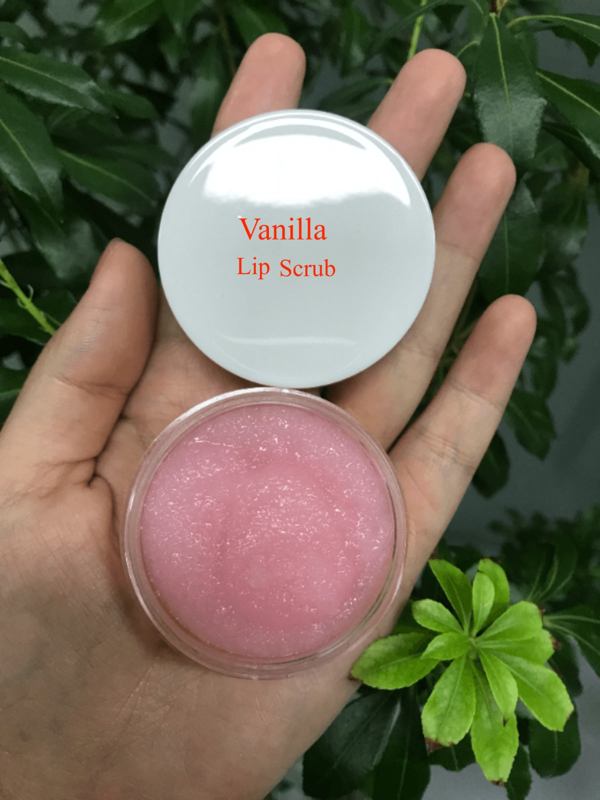 50pcs Private Label Lip Scrub