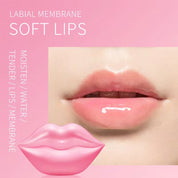 50pcs Private Label Lip Sheet Mask