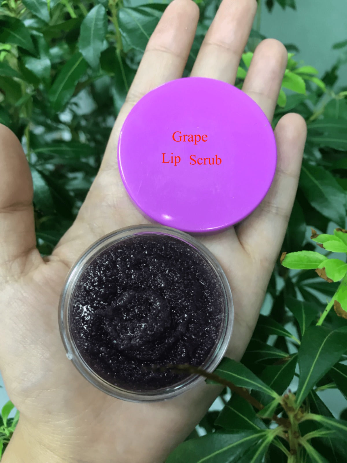 50pcs Private Label Lip Scrub