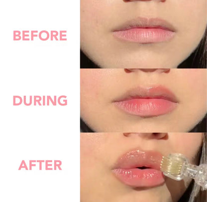 50pcs Private Label Lip Booster Kit