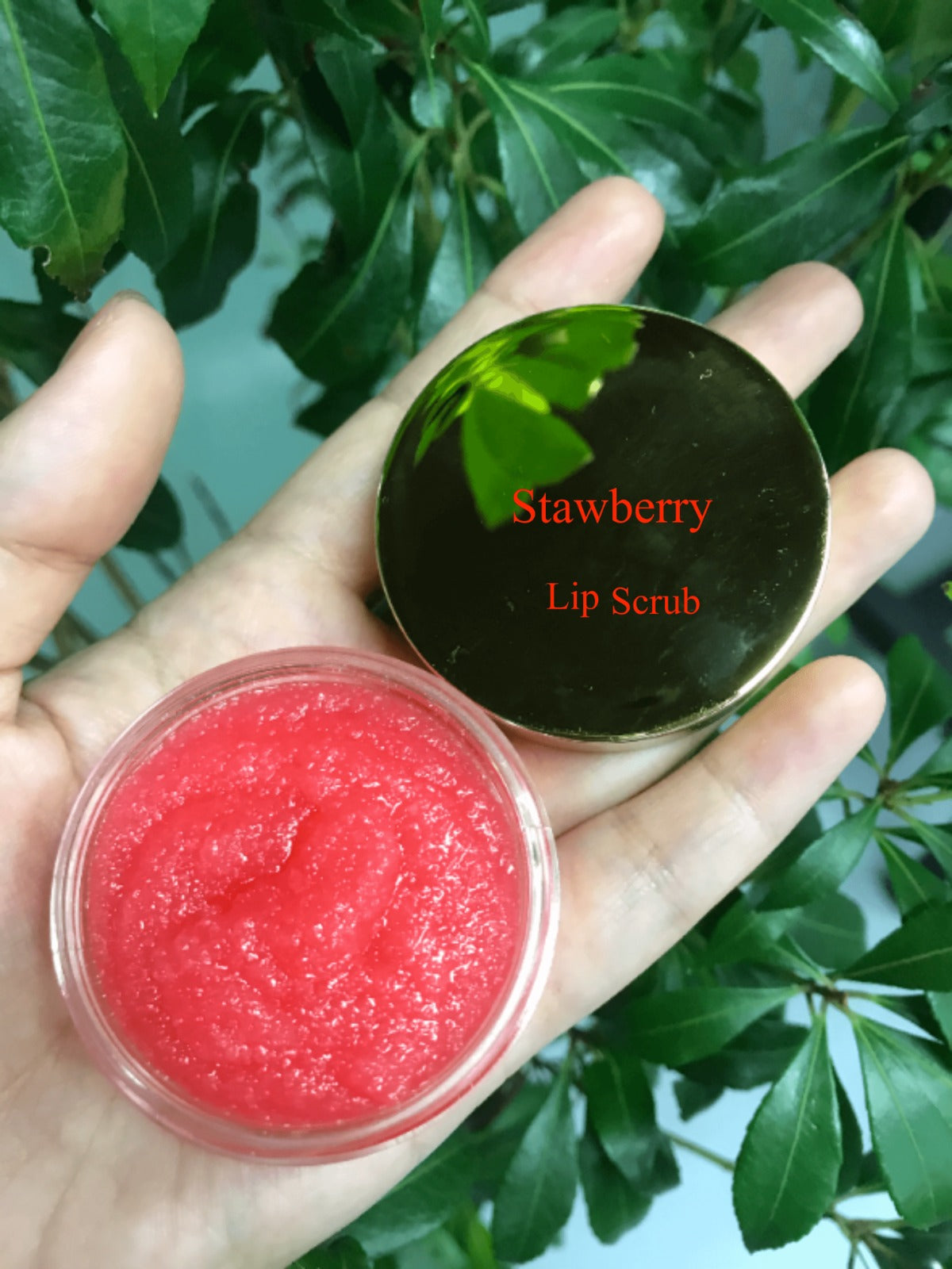 50pcs Private Label Lip Scrub