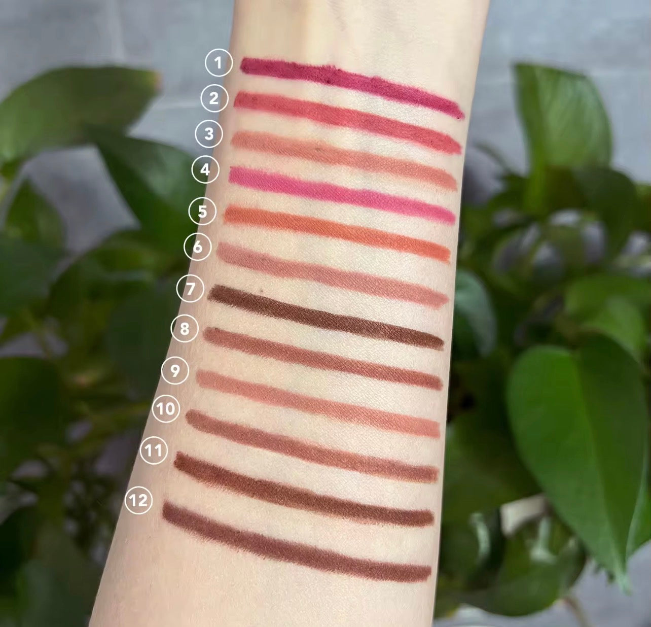 50 Sets Private Label Hydrating Lipgloss / Matte Lipstick Kit
