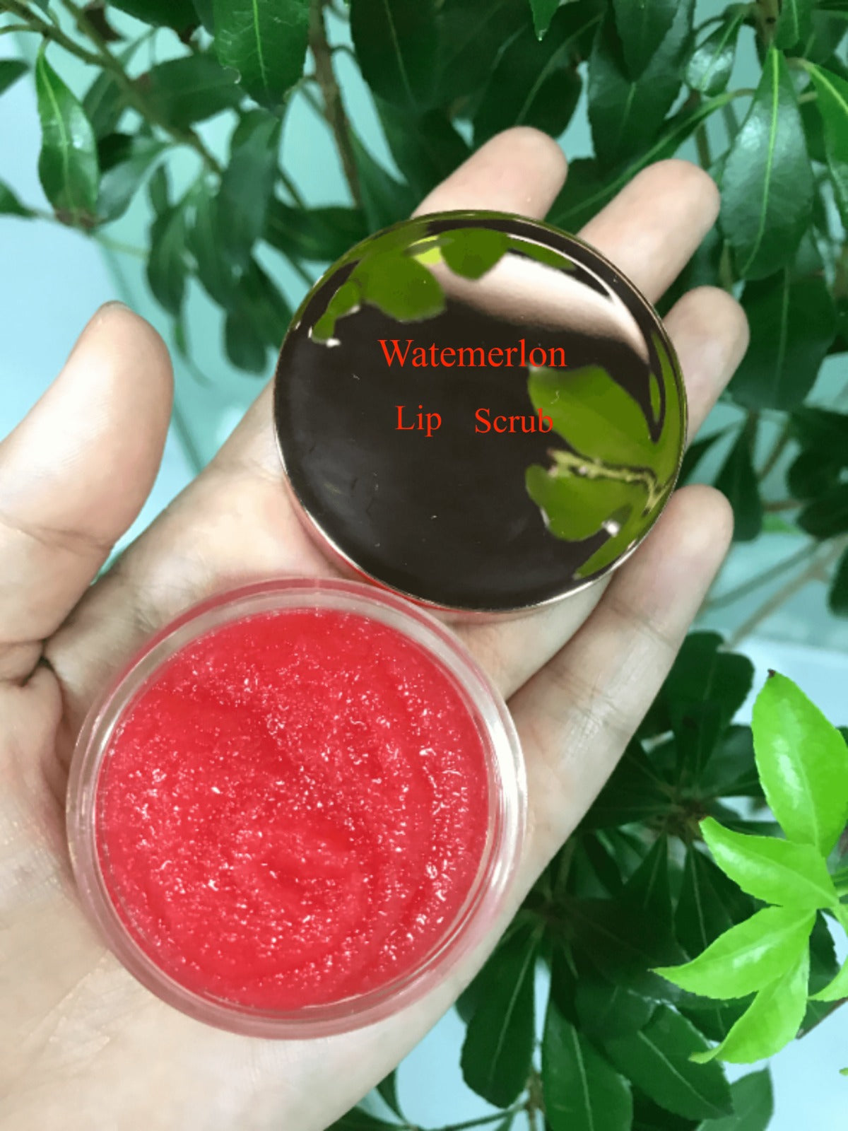 50pcs Private Label Lip Scrub